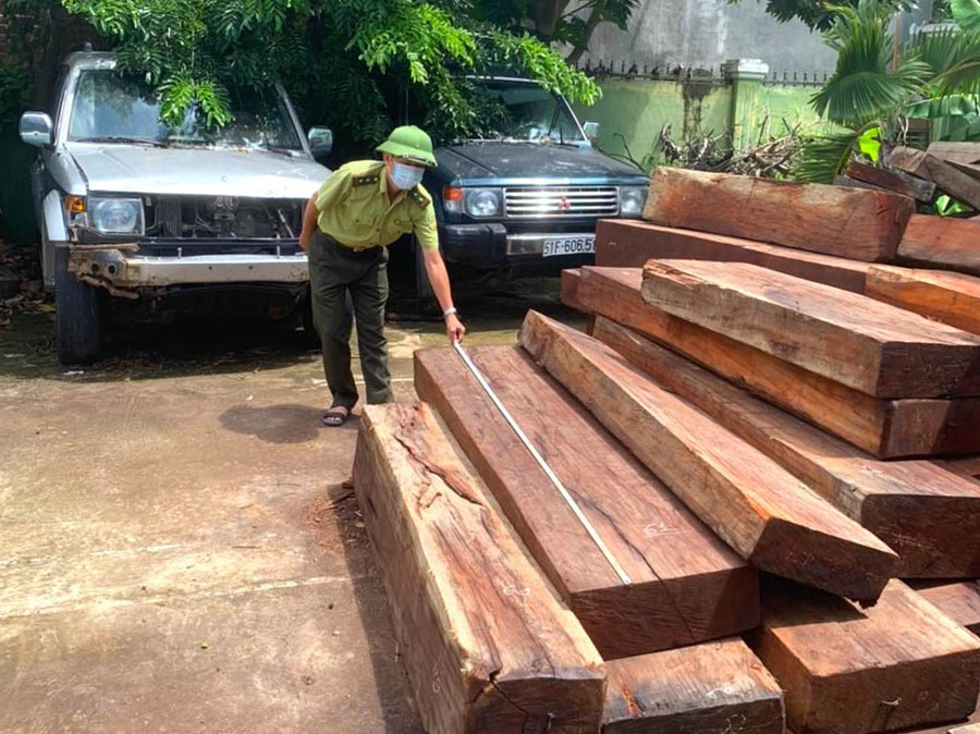 Cán bộ Hạt Kiểm lâm huyện Kông Chro kiểm đếm số gỗ tang vật thu giữ. Ảnh: Ngọc Minh Cán bộ Hạt Kiểm lâm huyện Kông Chro kiểm đếm số gỗ tang vật thu giữ. Ảnh: Ngọc Minh