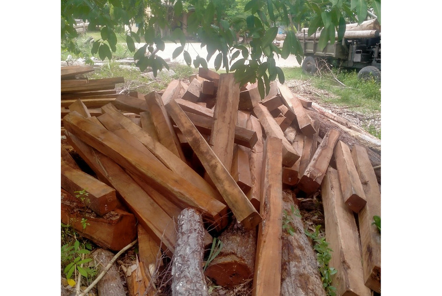 Số gỗ tang vật được đưa về Hạt Kiểm lâm huyện Ia Pa để tiếp tục điều tra làm rõ. Ảnh: Lê Anh Số gỗ tang vật được đưa về Hạt Kiểm lâm huyện Ia Pa để tiếp tục điều tra theo quy định của pháp luật. Ảnh: Lê Anh