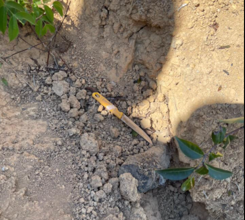 Con dao là hung khí gây án vứt cách hiện trường vụ án khoảng 200 m  Con dao là hung khí gây án vứt cách hiện trường vụ án khoảng 200 m