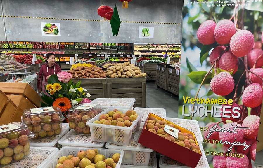 Quảng bá quả vải Việt Nam tại thành phố Perth, bang Tây Australia. (Ảnh: Diệu Linh/Vietnam+)