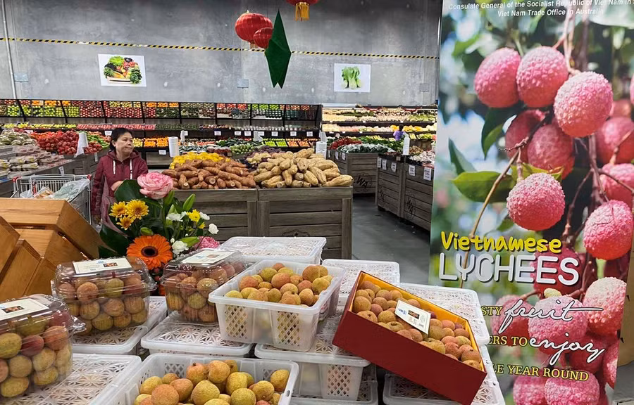 Quảng bá quả vải Việt Nam tại thành phố Perth, bang Tây Australia. (Ảnh: Diệu Linh/Vietnam+)