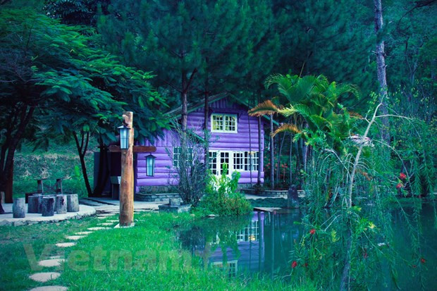 Du lịch Việt đang trải qua giai đoạn vắng lặng khó khăn nhất trong lịch sử. Ảnh minh họa: Mai Mai/Vietnam+