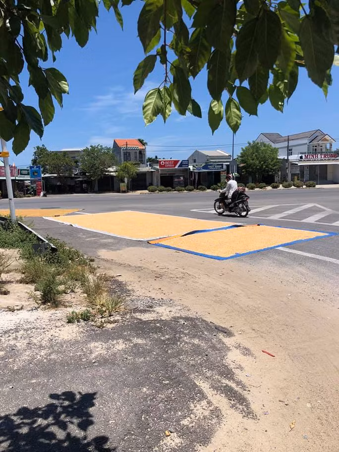 Thuật lái xe máy về quê, mang theo tấm chân tình của người dân xứ Quảng