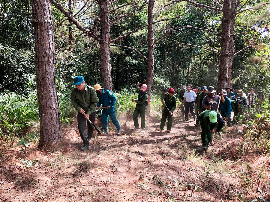 Lực lượng quản lý bảo vệ rừng của Ban Quản lý rừng phòng hộ Ia Ly làm đường ranh cản lửa phòng-chống cháy rừng (ảnh chụp trước tháng 4-2021). Ảnh: Lê Nam Lực lượng quản lý bảo vệ rừng của Ban Quản lý rừng phòng hộ Ia Ly làm đường ranh cản lửa phòng-chống cháy rừng (hình chụp trước tháng 4-2021). Ảnh: Lê Nam
