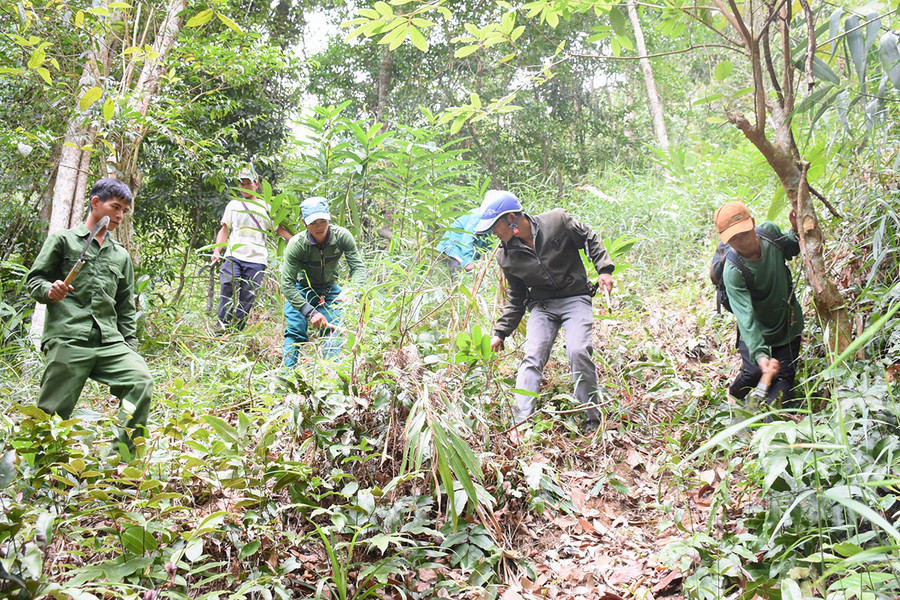 Các hộ nghèo, cận nghèo được hưởng lợi từ việc nhận khoán bảo vệ rừng, giúp người dân cải thiện thu nhập, ổn định cuộc sống (ảnh chụp trước tháng 4-2021). Ảnh: Minh Nguyễn Các hộ nghèo, cận nghèo được hưởng lợi từ việc nhận khoán bảo vệ rừng, giúp người dân cải thiện thu nhập, ổn định cuộc sống. Ảnh: Minh Nguyễn