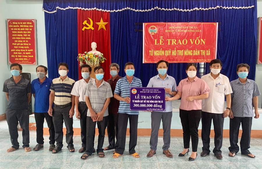  Ban Điều hành Quỹ Hỗ trợ nông dân (Hội Nông dân thị xã Ayun Pa) trao nguồn vốn vay cho các hội viên nông dân phường Sông Bờ để phát triển mô hình chăn nuôi heo. Ảnh: Vũ Chi