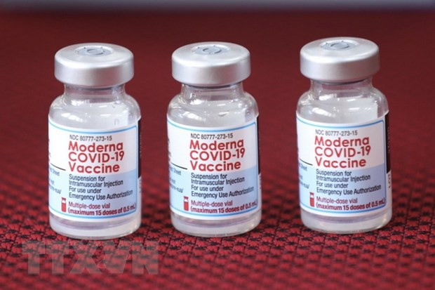  Vaccine Moderna phòng COVID-19. (Ảnh: Minh Quyết/TTXVN)