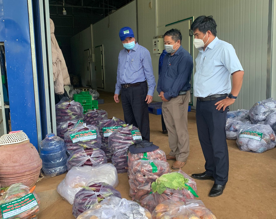 Lãnh đạo tỉnh Lâm Đồng kiểm tra việc thu mua rau, củ cung ứng cho TP.HCM. Ảnh: C.T.V 