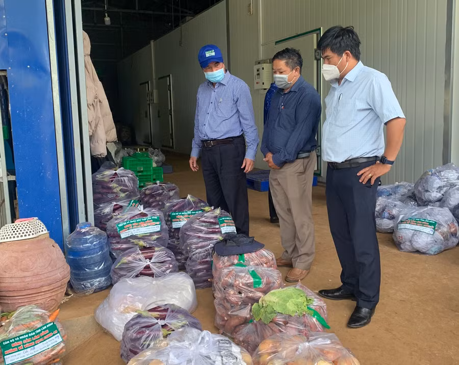 Lãnh đạo tỉnh Lâm Đồng kiểm tra việc thu mua rau, củ cung ứng cho TP.HCM. Ảnh: C.T.V 