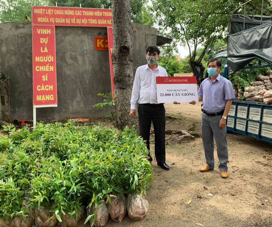 Đại diện Agribank Ia Pa trao 22.000 cây xanh cho Phòng Nông nghiệp và PTNT huyện.Ảnh.Vũ Chi