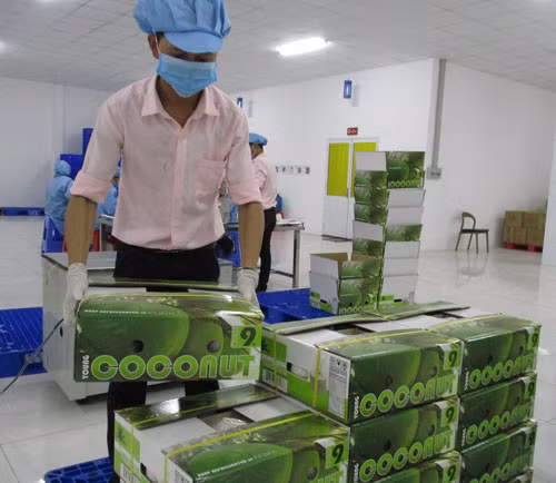  Nông sản là lĩnh vực hưởng lợi lớn trong giai đoạn đầu thực thi EVFTA Ảnh: NGỌC ÁNH