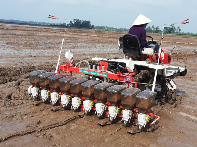 Giá phân bón tăng cao, các chuyên gia khuyến cáo nông dân sử dụng phân bón theo nguyên tắc 