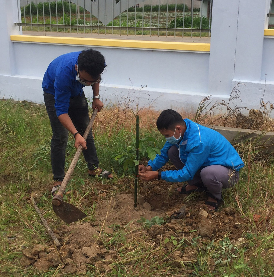  Đoàn viên, thanh niên phường An Bình (thị xã An Khê) trồng cây xanh tại khuôn viên Trường Mẫu giáo Sơn Ca. Ảnh: Ngọc Minh