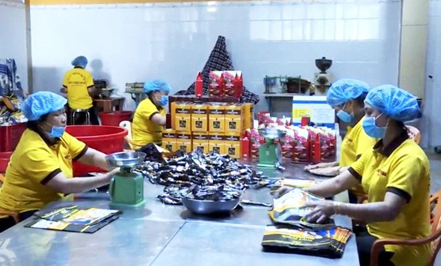  Đóng gói sản phẩm tại Nhà máy chế biến cà phê bột của Công ty TNHH một thành viên Thùy Dung Gia Lai. Ảnh: Hà Duy