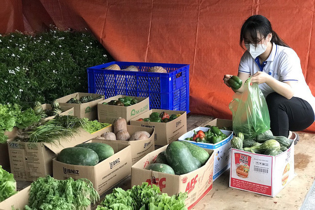 Một sinh viên lựa chọn các loại rau, củ quả tại gian hàng 0 đồng của Đoàn Trường ĐH Y Dược TP.HCM. Ảnh: CTV