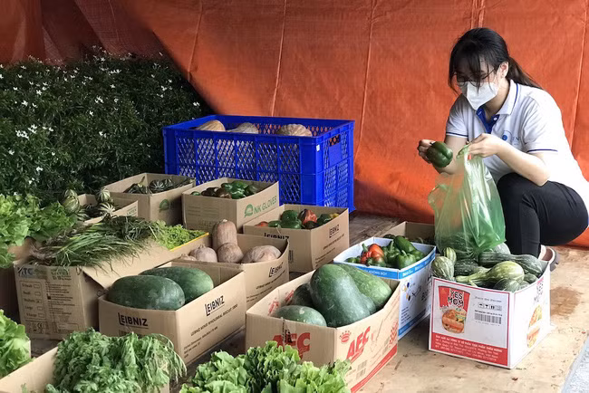 Một sinh viên lựa chọn các loại rau, củ quả tại gian hàng 0 đồng của Đoàn Trường ĐH Y Dược TP.HCM. Ảnh: CTV