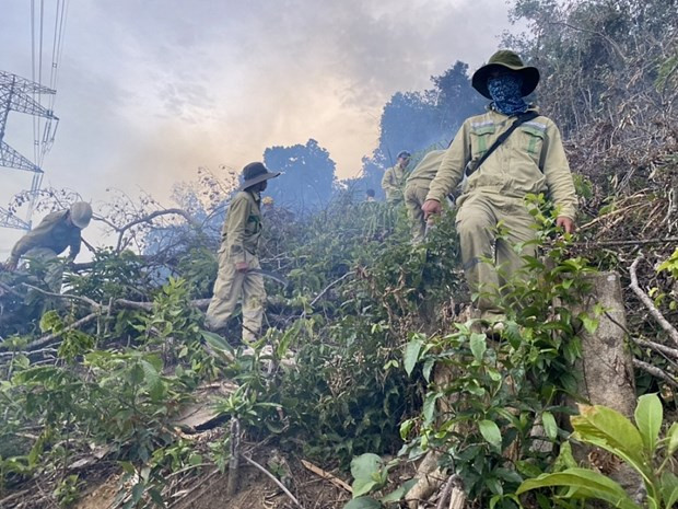 Lực lượng Truyền tải điện Quảng Ngãi nhanh chóng vào cuộc dập lửa và tạo hành lang an toàn để ngăn chặn cháy lan. Nguồn: Congthuong.vn