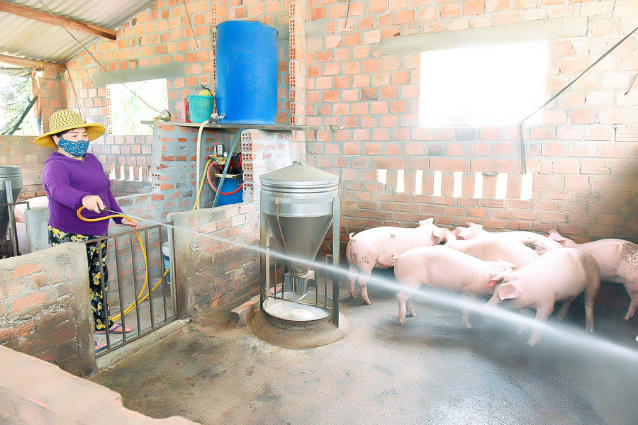 4. Năm 2018, chị Phan Thị Bích Trâm (thôn An Thạch) được Hội LHPN xã tín chấp vay 70 triệu đồng từ Agribank-chi nhánh thị xã An Khê Đông Gia Lai để đầu tư chăn nuôi. Nhờ chịu khó làm ăn, hiện nay, gia đình chị đã có 20 con heo, 7 con bò, 5 ha cây keo, 5 sào mì… cho thu nhập mỗi năm trên 200 triệu đồng. 