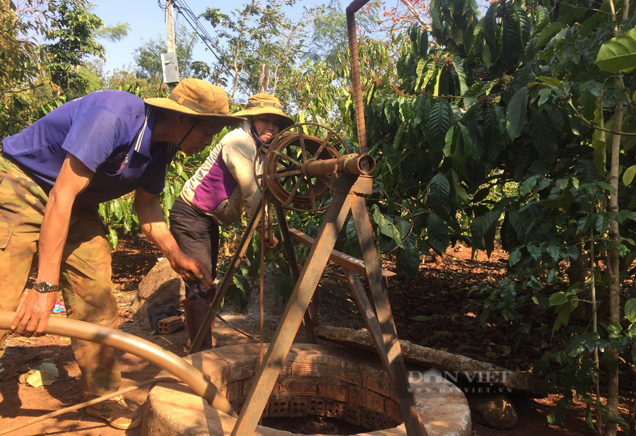 Cùng với giá nông sản bấp bênh, những năm gần đây Tây Nguyên thường xuyên bị hạn hán khiến đời sống nông dân gặp nhiều khó khăn. (Trong ảnh: Một gia đình tại huyện Cư M'Gar, Đắk Lắk vét giếng để tưới cà phê). Ảnh: Duy Hậu.
