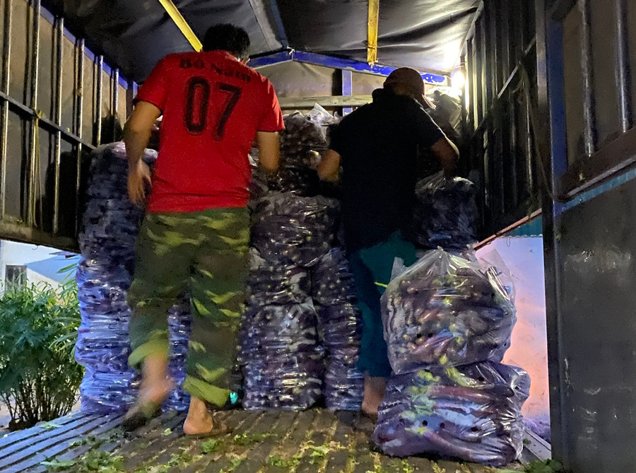 Các loại nông sản đảm bảo chất lượng được chuyển đi TP.HCM hỗ trợ trong phòng chống dịch Covid-19. Ảnh: Lâm Viên