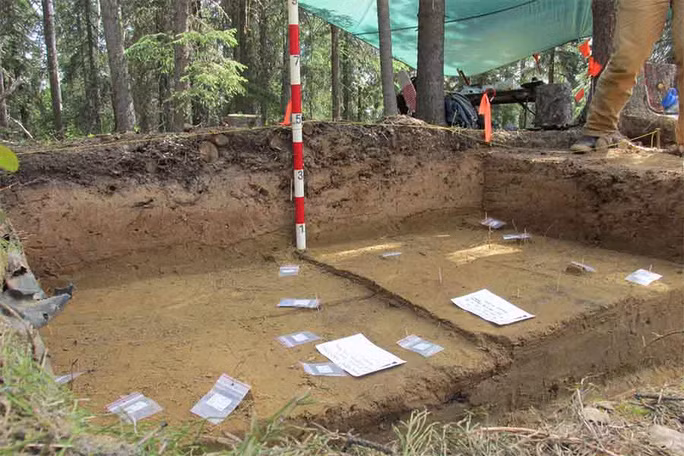 Một khu vực khảo cổ ở Swan Point - Ảnh: OHA Một khu vực khảo cổ ở Swan Point - Ảnh: OHA