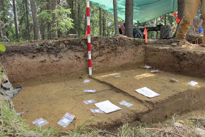 Một khu vực khảo cổ ở Swan Point - Ảnh: OHA Một khu vực khảo cổ ở Swan Point - Ảnh: OHA