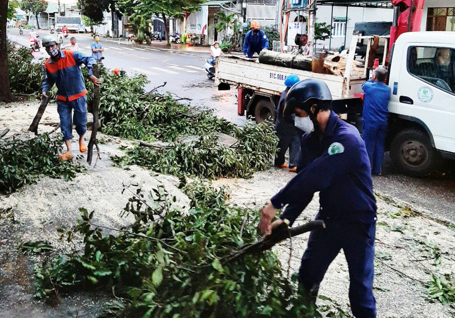 Công ty cổ phần Công trình Đô thị Gia Lai đã phối hợp với Phòng Quản lý Đô thị TP. Pleiku tới xử lý cây xanh ngã đổ. Ảnh: Hồng Thương  Công ty Cổ phần Công trình Đô thị Gia Lai đã phối hợp với Phòng Quản lý Đô thị TP. Pleiku tới kiểm tra và xử lý cây xanh ngã đổ. Ảnh: Hồng Thương