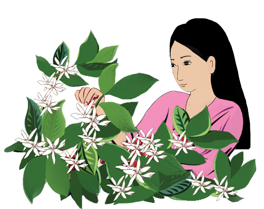  Minh họa: Huyền Trang