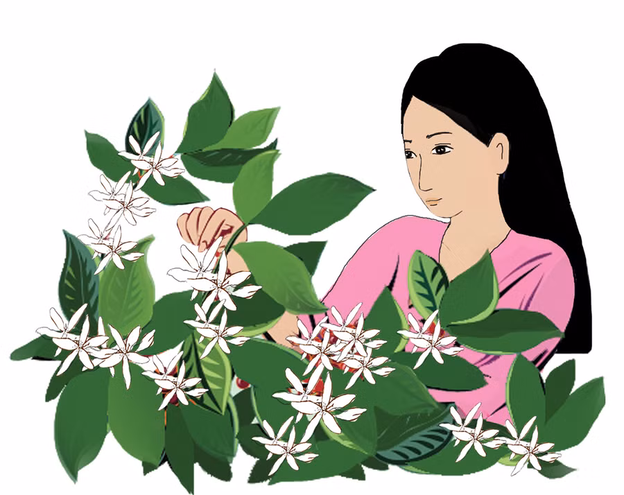  Minh họa: Huyền Trang