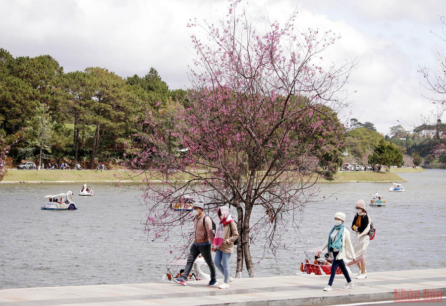 Cung đường nhàn du bên hồ Xuân Hương-Đà Lạt.