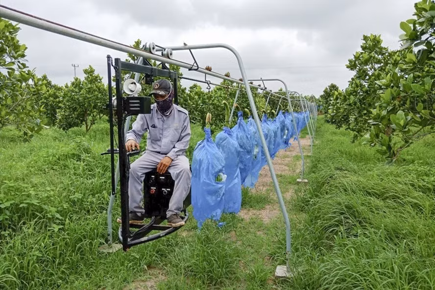 Có thể thấy công cuộc tái cơ cấu tại HAGL Agrico còn dài hạn, và không dễ dàng.