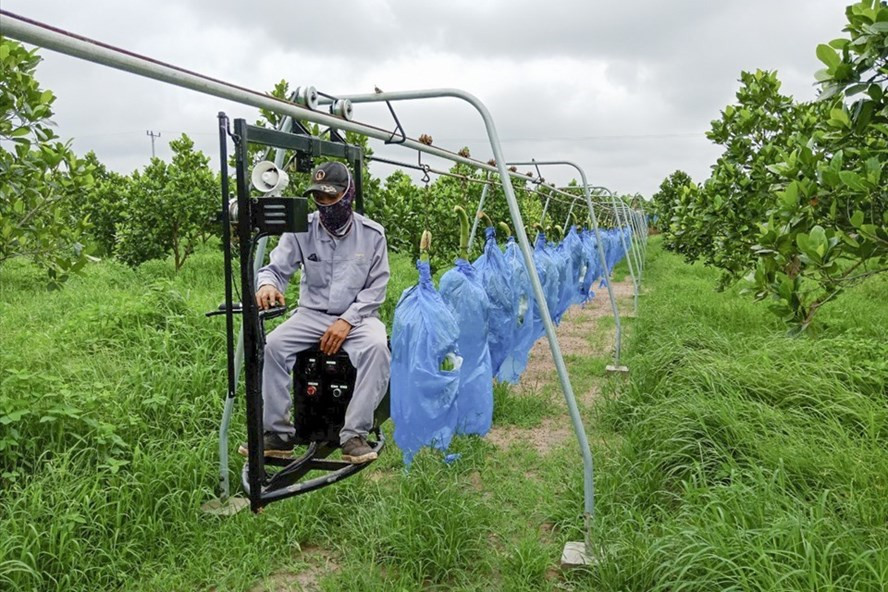 Có thể thấy công cuộc tái cơ cấu tại HAGL Agrico còn dài hạn, và không dễ dàng. Có thể thấy công cuộc tái cơ cấu tại HAGL Agrico còn dài hạn, và không dễ dàng.