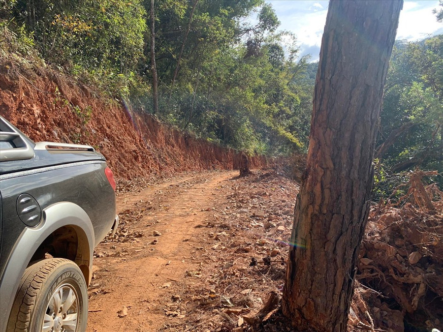 Đường Trường Sơn Đông đoạn qua Vườn Quốc gia Chư Yang Sin chưa được chuyển đổi mục đích sử dụng. Ảnh Quốc Khánh