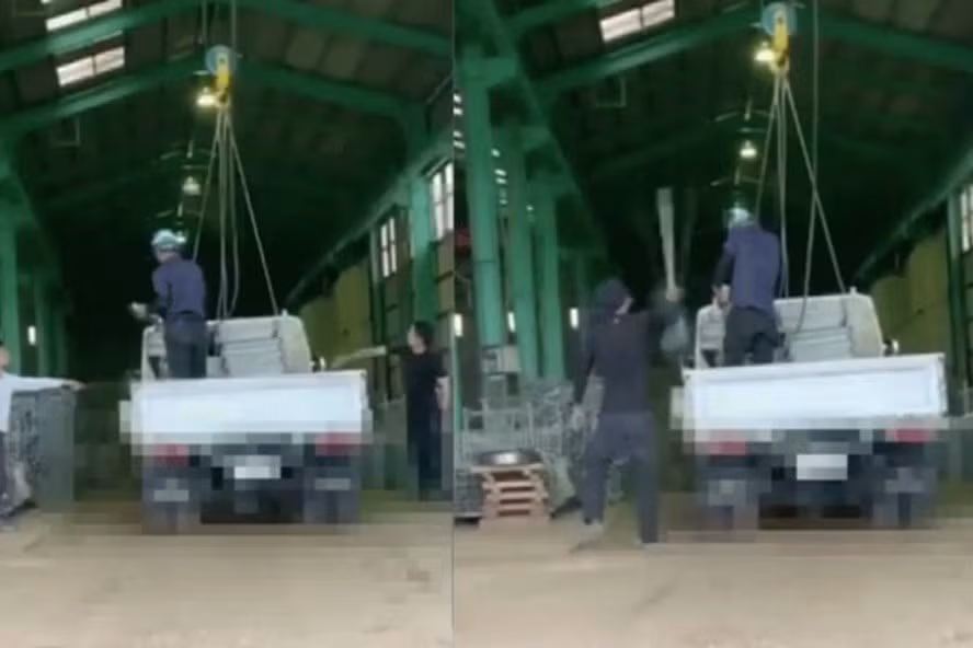 Ảnh chụp màn hình video thực tập sinh Việt Nam tại Nhật Bản bị đồng nghiệp bạo hành. Ảnh: Chụp màn hình