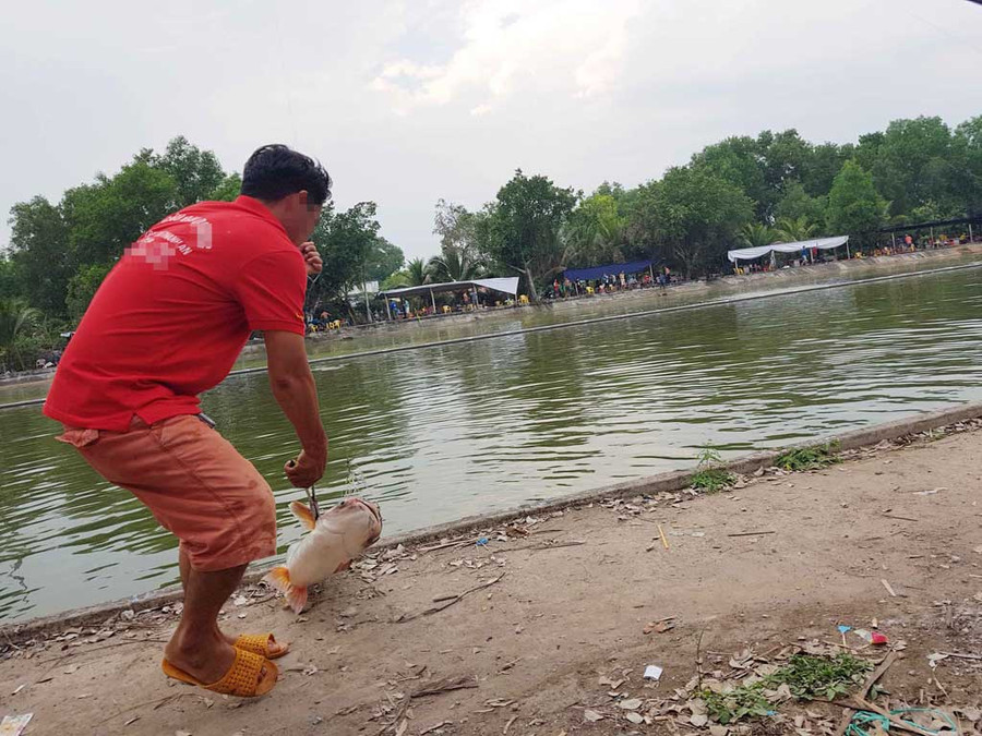 Một số cần thủ cho biết, thực chất việc câu cá giải trí có thưởng cũng chẳng khác gì hình thức cờ bạc