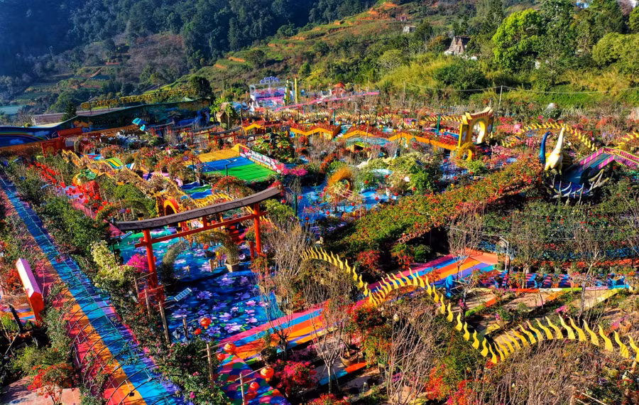 Vườn Thượng Uyển Bay chụp từ trên cao với hình 2 rồng vàng bay lượn. Ảnh: FB VƯỜN THƯỢNG UYỂN BAY