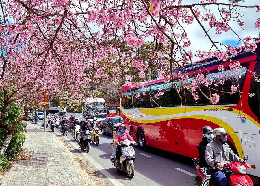 Phố núi mùa xuân.