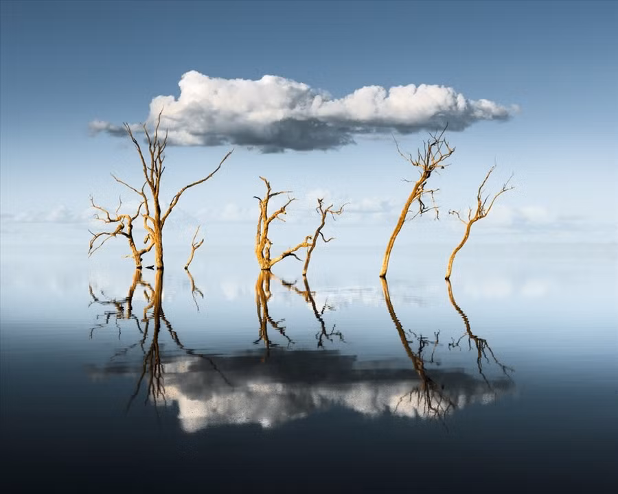 Giải 3 bức ảnh của năm thuộc về tác giả Ben Goode từ Australia. Ảnh: International Landscape Photographer of the Year 2021