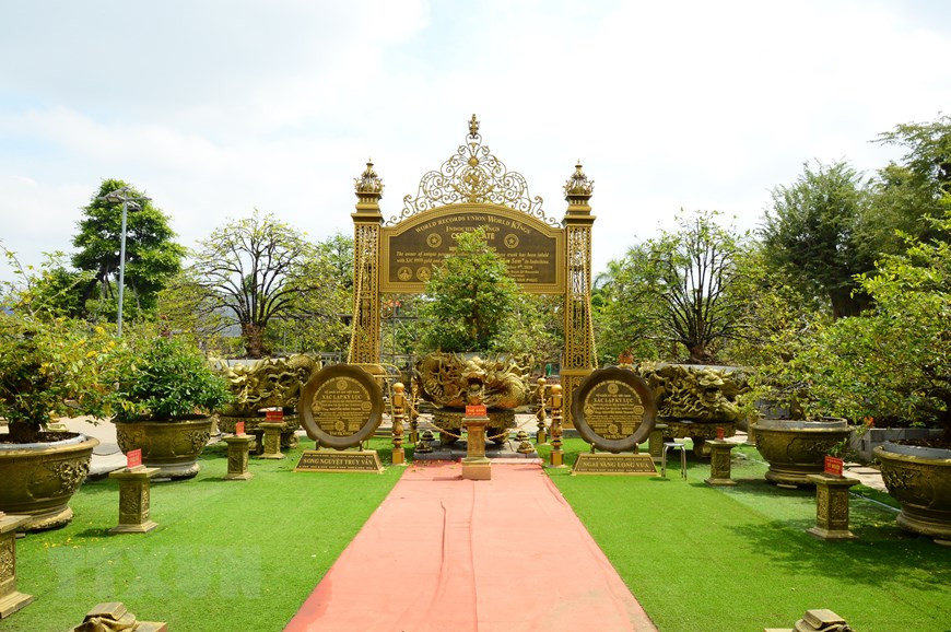 Bộ sưu tập những cây mai vàng độc đáo của ông Vũ Đức Đông được trưng bày tại Câu lạc bộ mai vàng thành phố Sa Đéc. Ảnh: Nhựt An/TTXVN