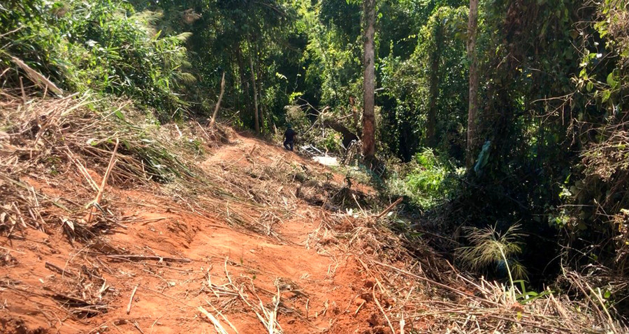 Hiện trường chiếc xe nằm lọt dưới vực sâu hàng chục mét so với mặt đường. Ảnh: Lê Hòa