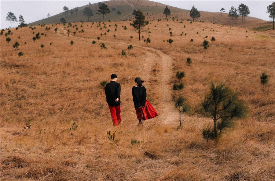 Đỉnh Phượng Hoàng là một điểm đến mới nổi, được du khách địa phương phát hiện hơn một năm gần đây và nhanh chóng thành điểm check-in, cắm trại hút khách. Ảnh: Giang Nguyen Vu Hoang Đỉnh Phượng Hoàng là một điểm đến mới nổi, được du khách địa phương phát hiện hơn một năm gần đây và nhanh chóng thành điểm check-in, cắm trại hút khách. Ảnh: Giang Nguyen Vu Hoang