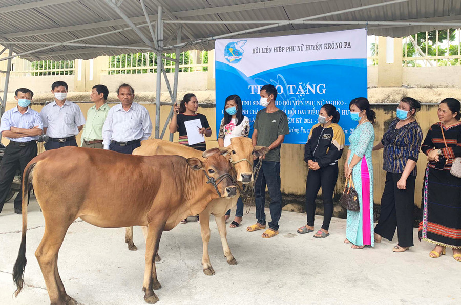 Hội LHPN huyện Krông Pa trao tặng bò cho hội viên phụ nữ có hoàn cảnh khó khăn năm 2021. Ảnh: Vũ Chi