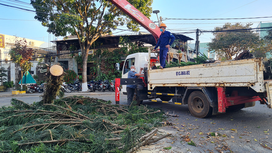 Công nhân Công ty cổ phần công trình đô thị Gia Lai kịp thời có mặt xử lý hiện trường. Ảnh: Bá Bính