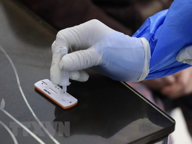Lấy mẫu sàng lọc COVID-19. (Nguồn: TTXVN)