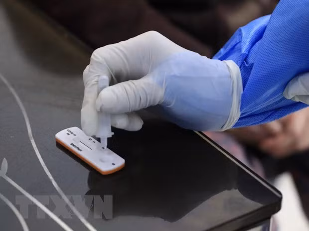 Lấy mẫu sàng lọc COVID-19. (Nguồn: TTXVN)