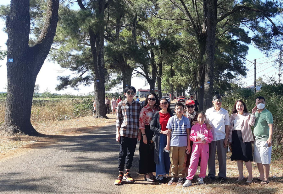 Du khách chụp hình kỷ niệm tại hàng thông cổ thụ. Ảnh: Duy Lê