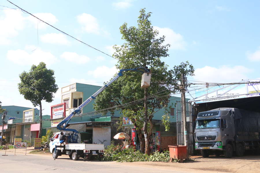 Triển khai di dời hệ thống cây xanh đường Lê Đại Hành phục vụ thi công dự án. Ảnh: Quang Tấn