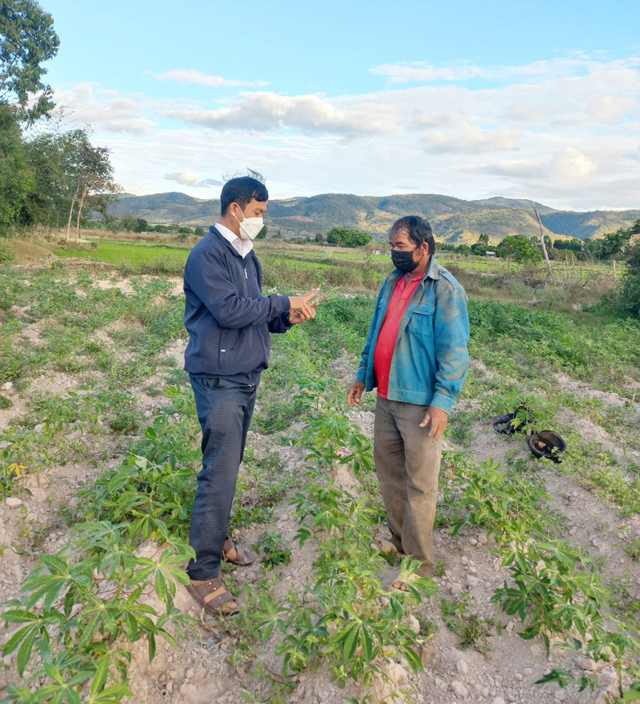 Chủ tịch Ủy ban MTTQ Việt Nam xã Ia Tul (huyện Ia Pa) Ksor Uyn (bìa trái) hướng dẫn người dân chăm sóc cây mì. Ảnh: Anh Huy