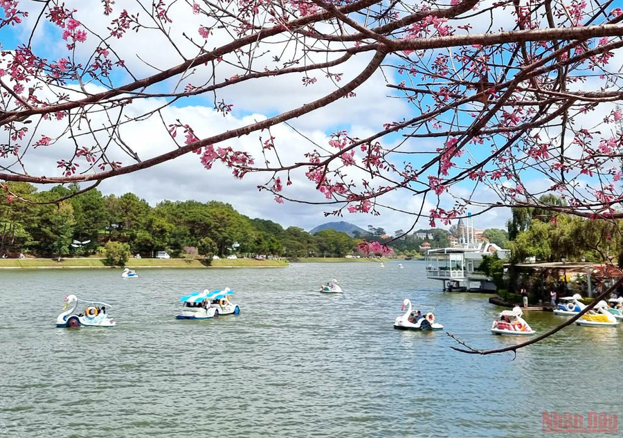 Trên hồ Xuân Hương-Đà Lạt