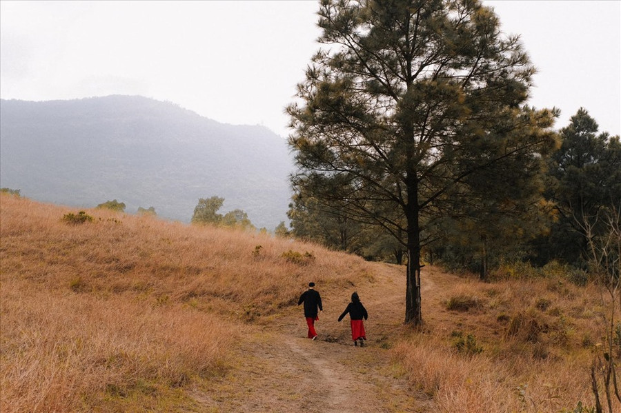 Du khách tới đây có thể cắm trại, chụp ảnh với đồng cỏ, rừng thông. Ảnh: Giang Nguyen Vu Hoang Du khách tới đây có thể cắm trại, chụp ảnh với đồng cỏ, rừng thông. Ảnh: Giang Nguyen Vu Hoang
